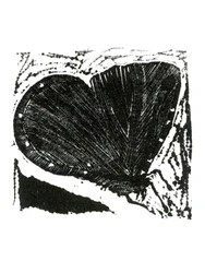 Polilla oscura, 2013